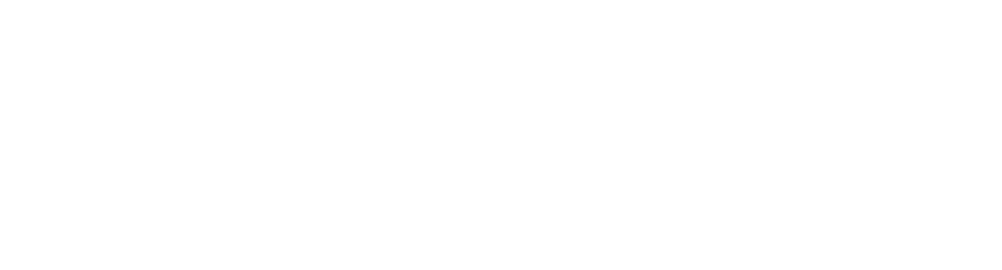 saludsyj.com